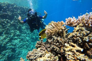Scuba Diving Introduction at Red Sea Diving College, Egypt
