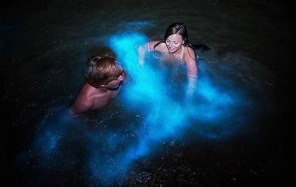 Luminous Lagoon Bioluminescence Tour from Falmouth, Jamaica