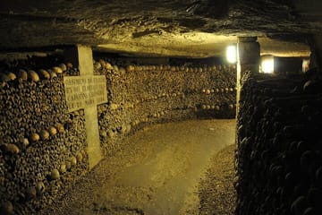 Explore the Catacombs of Paris on a Guided Day Tour
