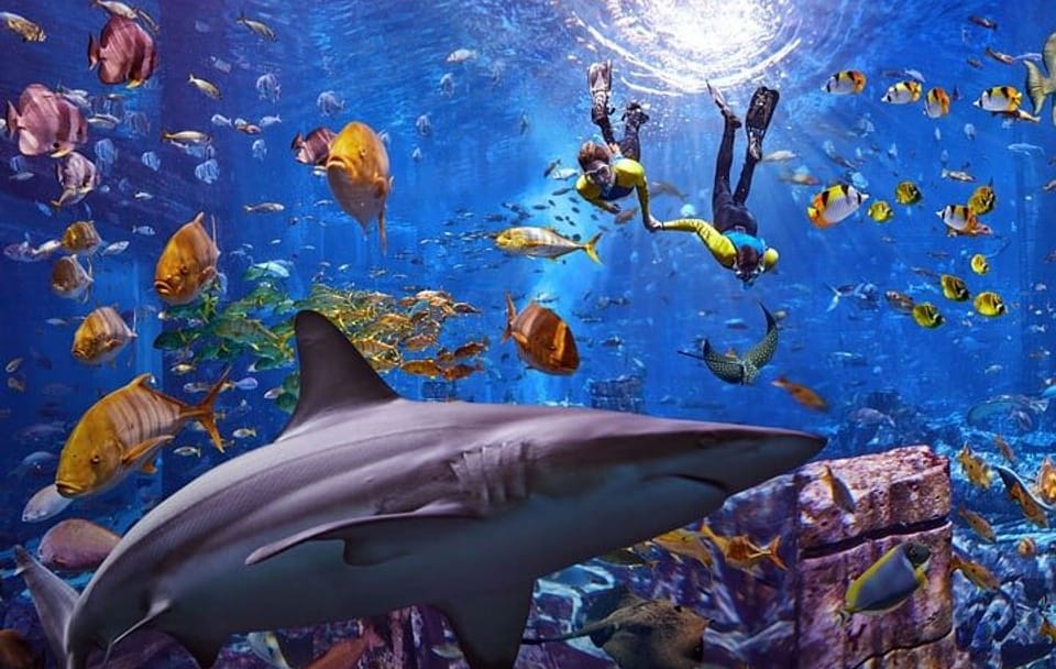 Atlantis -Lost-Chambers Aquarium- in Dubai