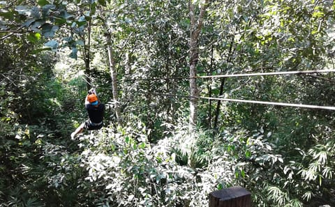 Zipline Adventure and ATV Tour in Mae Raem, Thailand