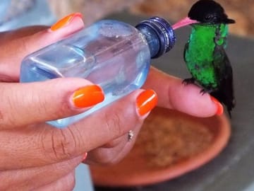 Feeding the birds at the Bird Sanctuary