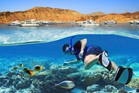 Sharm El Sheikh: Sinai Desert Experience with Seafood Dinner 9