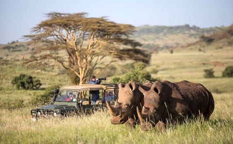 3-Day Adventure Tour in Aberdares and Ol Pejeta Sanctuary