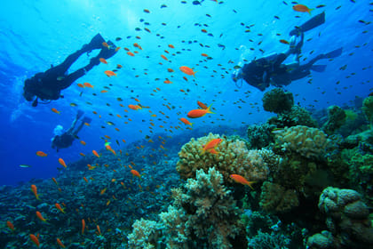 Discover Scuba Diving In Kefalonia