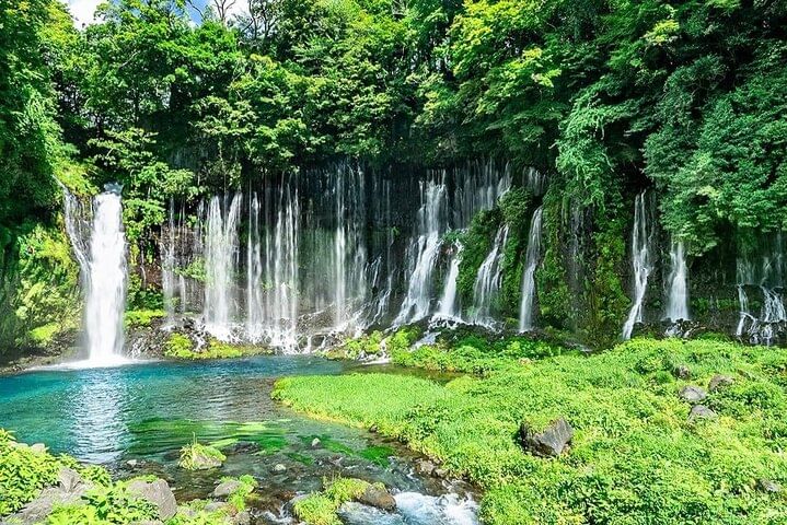 Customizable Private Tour in Mt Fuji from Tokyo by Car or Van