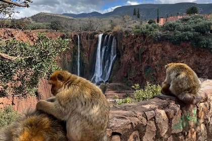 Day Trip To Ouzoud waterfalls _ Small Group Tour