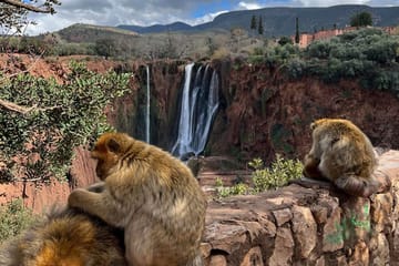 Small Group Day Trip to Ouzoud Waterfalls in Morocco