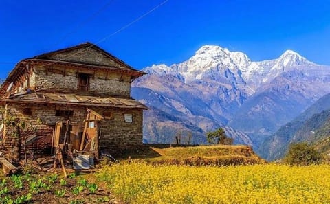 3-Day Trek to Ghandruk: Explore Nature and Culture