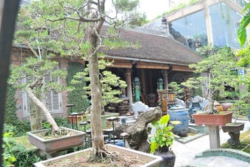 Cultural and Artistic Tour of Bat Trang and But Thap Pagoda in Hanoi