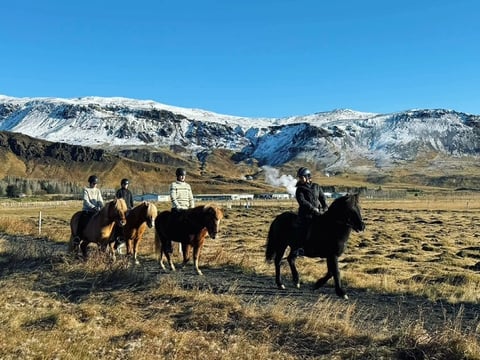 1 Hour Private Horseback Riding - Join us for an unforgettable adventure, where you can connect with these magnificent animals.