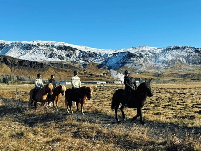 1 Hour Private Horseback Riding - Join us for an unforgettable adventure, where you can connect with these magnificent animals., by Icee - Icelandic Equestrian Experience