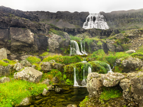 4 days - Wild Westfjords