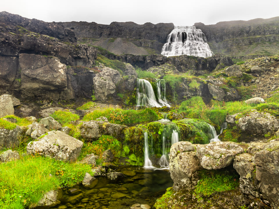 4 days - Wild Westfjords — Arctic Yeti Ehf