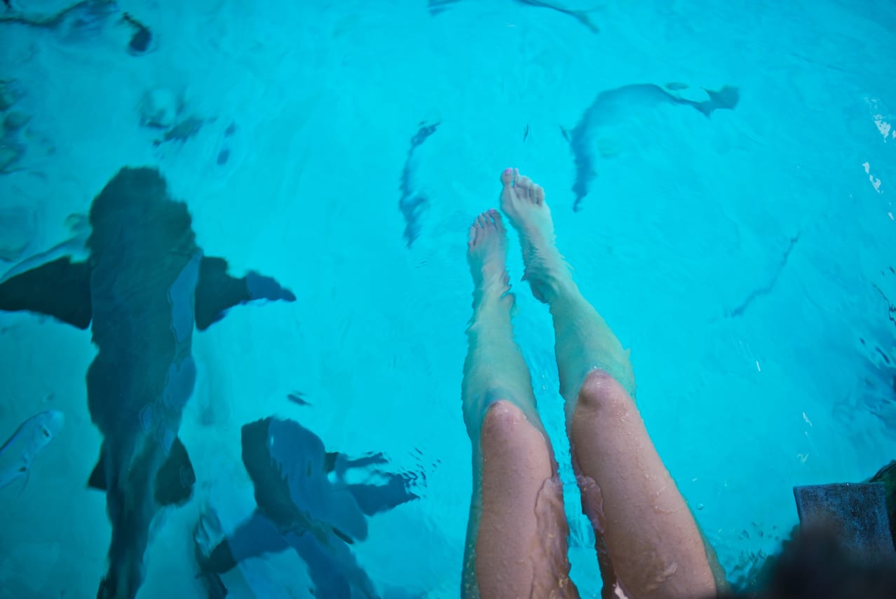 Private Swimming Pigs Tour from Nassau 8