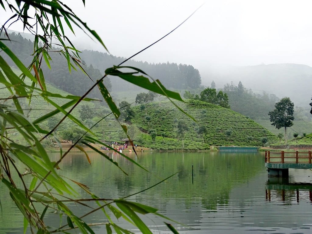 Amazing Sembuwatta Lake Day Tour (German & English) 5