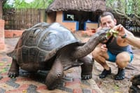 Prison Island & The Love Island - Full Day Tour in Zanzibar 3
