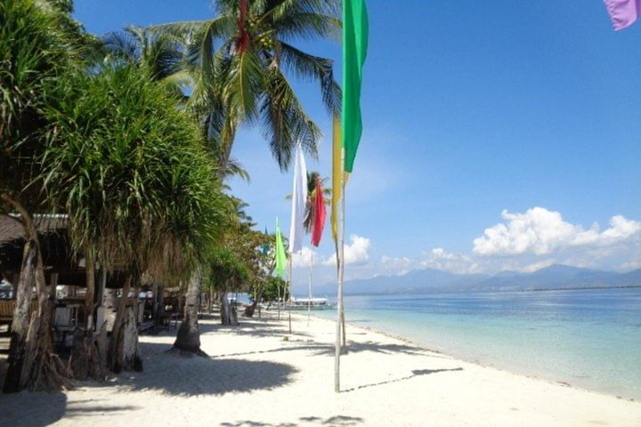 Puerto Princesa shore excursion to Luli, starfish, cowrie island