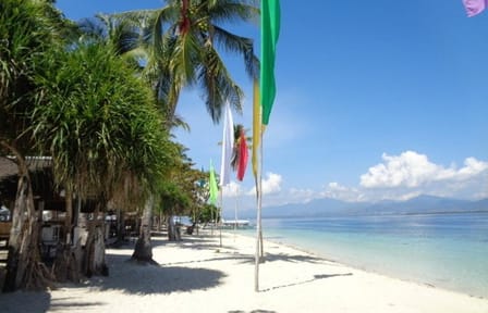 Private Puerto Princesa Luli, starfish, cowrie island excursion