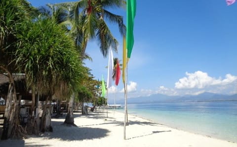 Private Day Tour to Luli, Starfish, and Cowrie Islands in Puerto Princesa