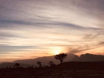 5-Day Adventure Tour of Al Hadd, Al Hamra, and Al Mudhaireb