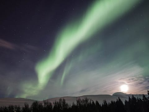 Northern Lights Classic Tour from Akureyri, photo 4