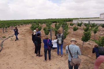 Private Wine Tasting and Boulevard Walk in Amman