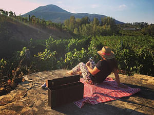 Dinner in the Vineyard at Sunset on the slopes of Vesuvius