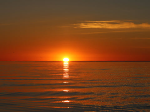 Midnight Sun Whale Watching, photo 11