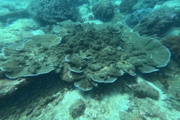 Amazing Phu Quoc 3 Island Tour by Boat and Cable Car 1 day