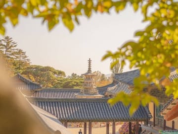 Beautiful autumn scenery surrounding Bulguksa Temple.