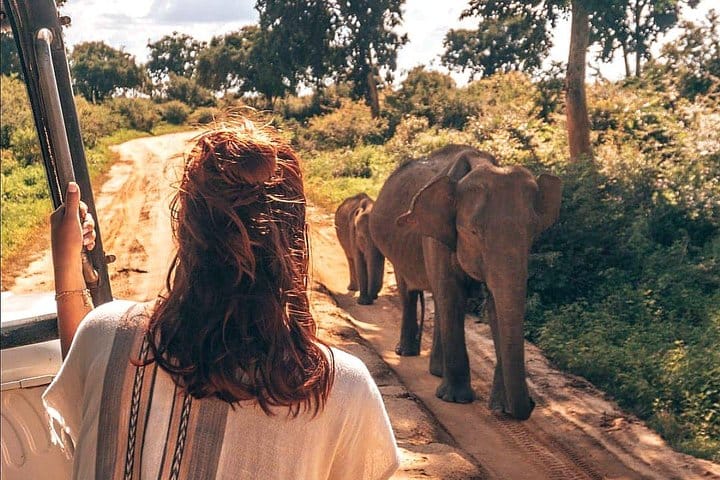 The Pick of Sri Lanka 9 Days Budget Tour