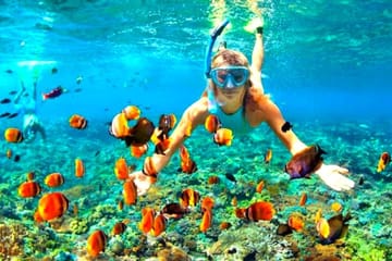 Snorkeling Day Trip to Hamata Island from Marsa Alam