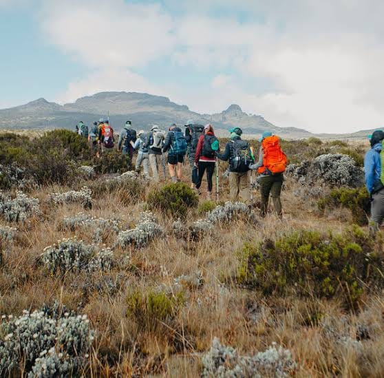 8-Day Mount Kilimanjaro Trek: Exclusive Lemosho Route Scenic Expedition 8
