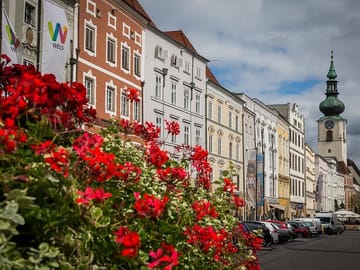 Wels Private Walking Tour with Professional Guide