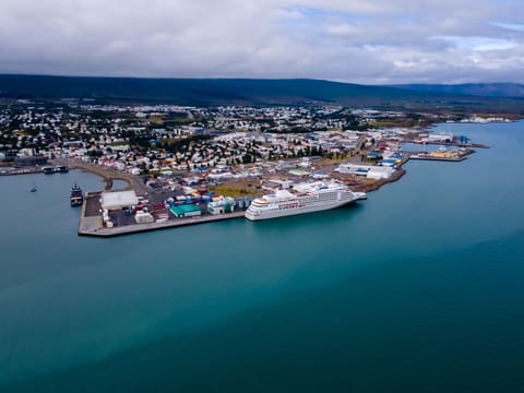 Whale Watching from Akureyri, photo 4