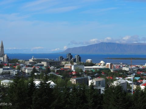 Perlan Wonders of Iceland+return - Transfer From Your Hotel/Airbnb, photo 4