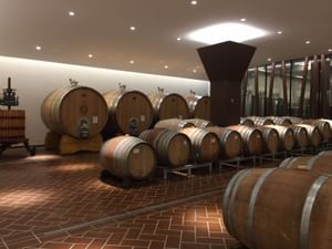 Tasting of 6 red wines from Garda and Valpolicella in Bardolino
