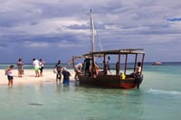 Mnemba Island Private Boat – Snorkel & Dolphin Adventure 7