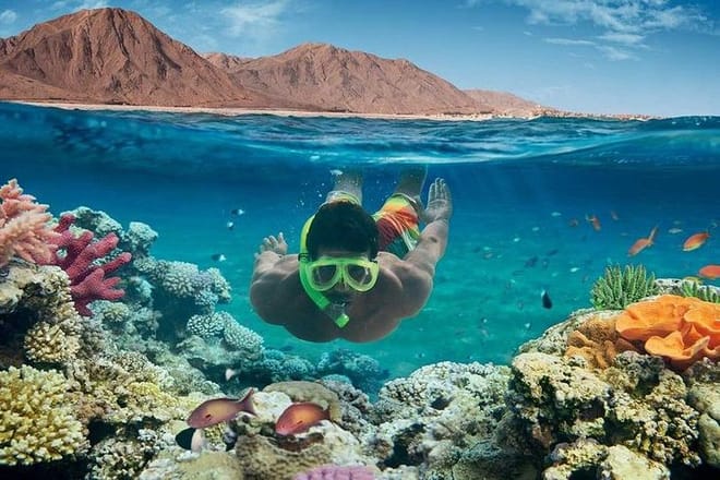Dolphin House Reef Snorkeling Adventure &amp; Transfers – Marsa Alam