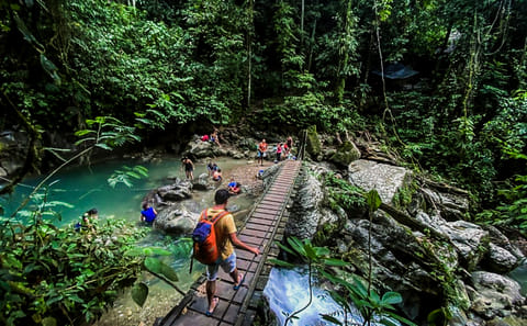 Owls' Cave and Santa Carmen Nature Expedition in Tingo María