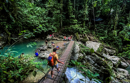 Owls' Cave and Santa Carmen Nature Expedition in Tingo María