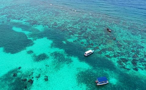 Snorkeling Tour of Mangroves and Shipwrecks in Coxen Hole