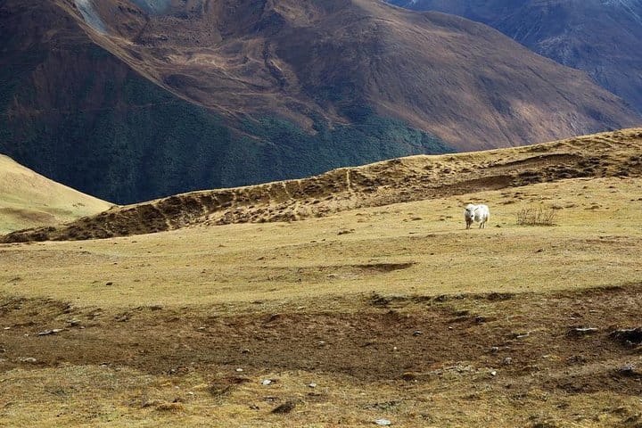 19 Days Mera Peak Climbing & Expedition – One Life-Changing Himalayan Adventure