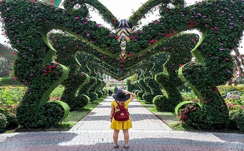 Dubai Cultural Global Village and Miracle Garden Shopping Tour