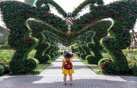 Dubai Cultural Global Village and Miracle Garden Shopping Tour