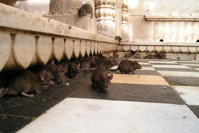 Inside Part of Temple