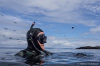 Freedive Foodhunt	 10