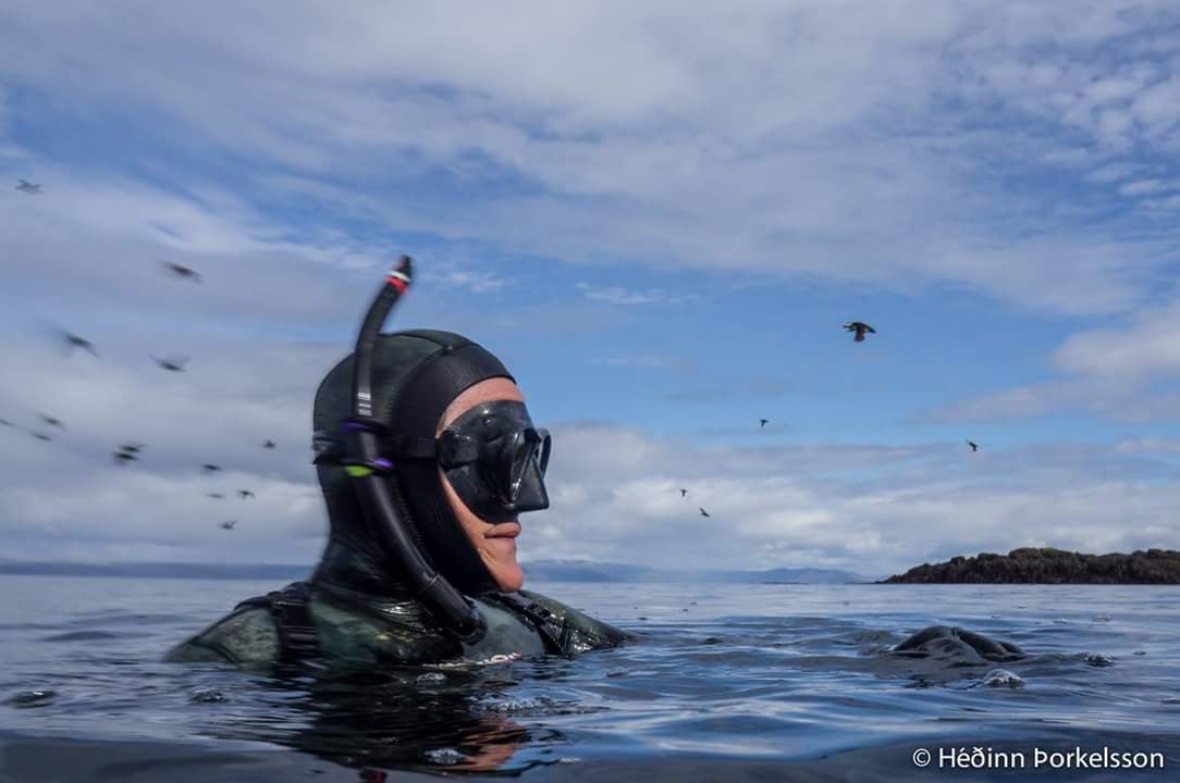 Freedive Foodhunt	 10
