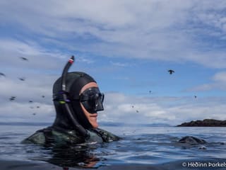 Freedive foodhunt , photo 10
